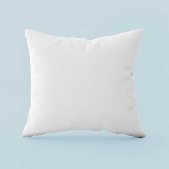 Oreiller Naturel 20% Duvet 65 x65 cm