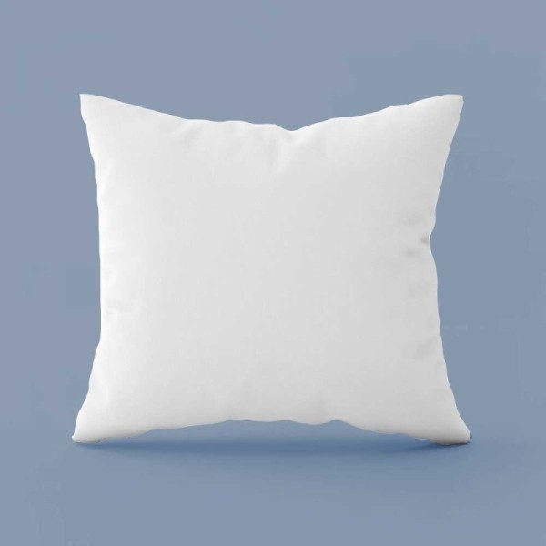 Lot 2 oreillers carrées naturels en Plumes de canard