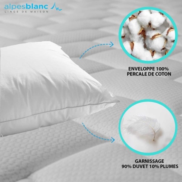 Lot 2 oreillers carrées naturels en Plumes de canard