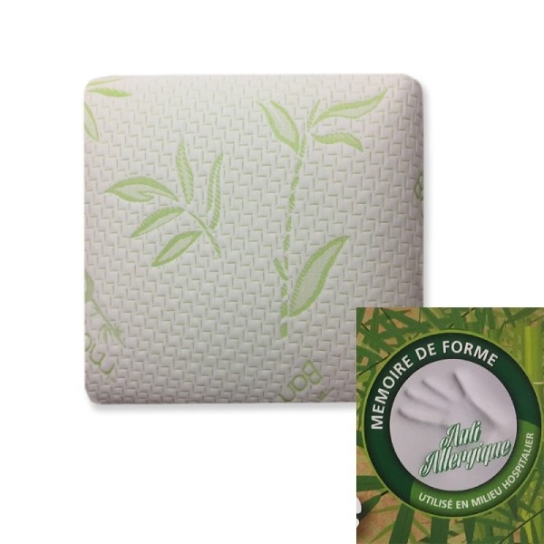 oreillers visco bambou mémoire de forme carrés 60x60 cm avec pictogramme