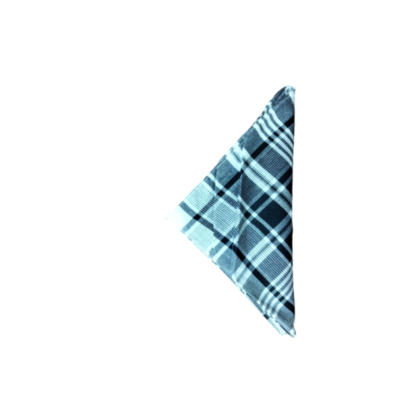 Mouchoirs Carreaux Bleu et Blanc 50x50cm