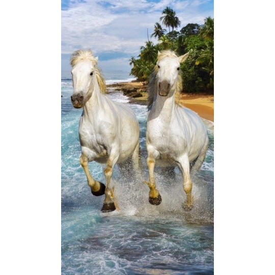 Serviette de plage microfibre chevaux sur la plage 70x140