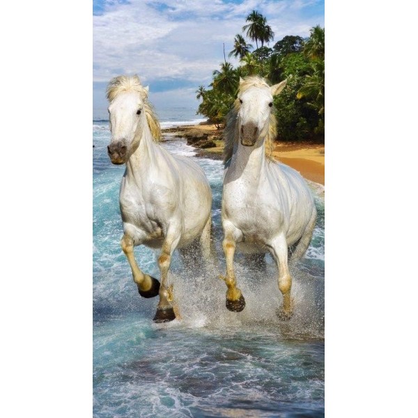 Serviette de plage microfibre chevaux sur la plage 70x140