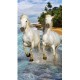 Serviette de plage microfibre chevaux sur la plage 70x140