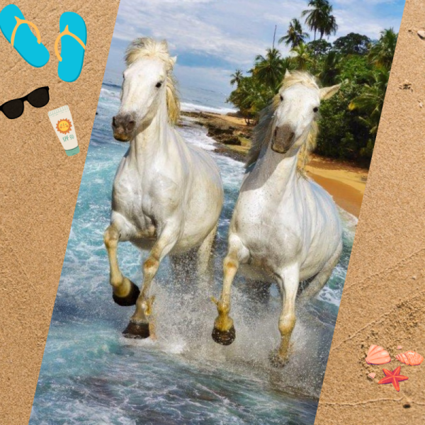 Serviette de plage microfibre chevaux sur la plage 70x140 sable