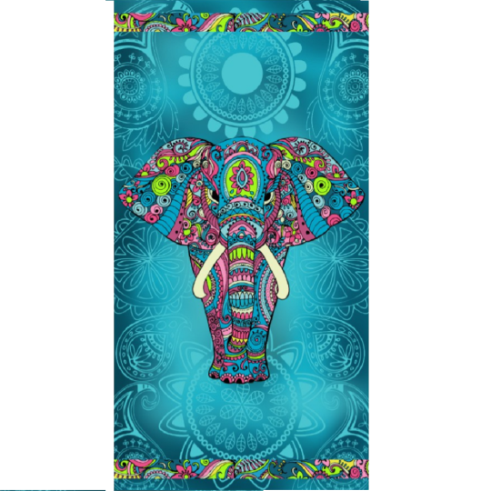 copy of COUPLE DE CHEVAUX